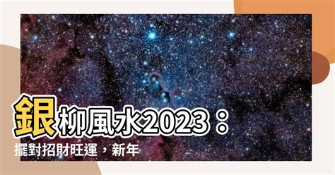 銀柳風水2023|銀柳風水2023：如何正確擺放提升運勢？